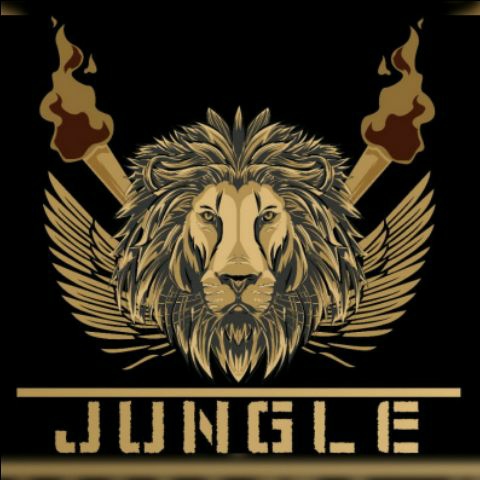 Jungle Studios🦁💗 -Dancer Profile Image
